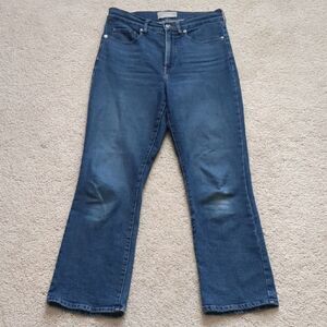 Everlane Authentic Stretch Slim Boot Cut Jean Size 27